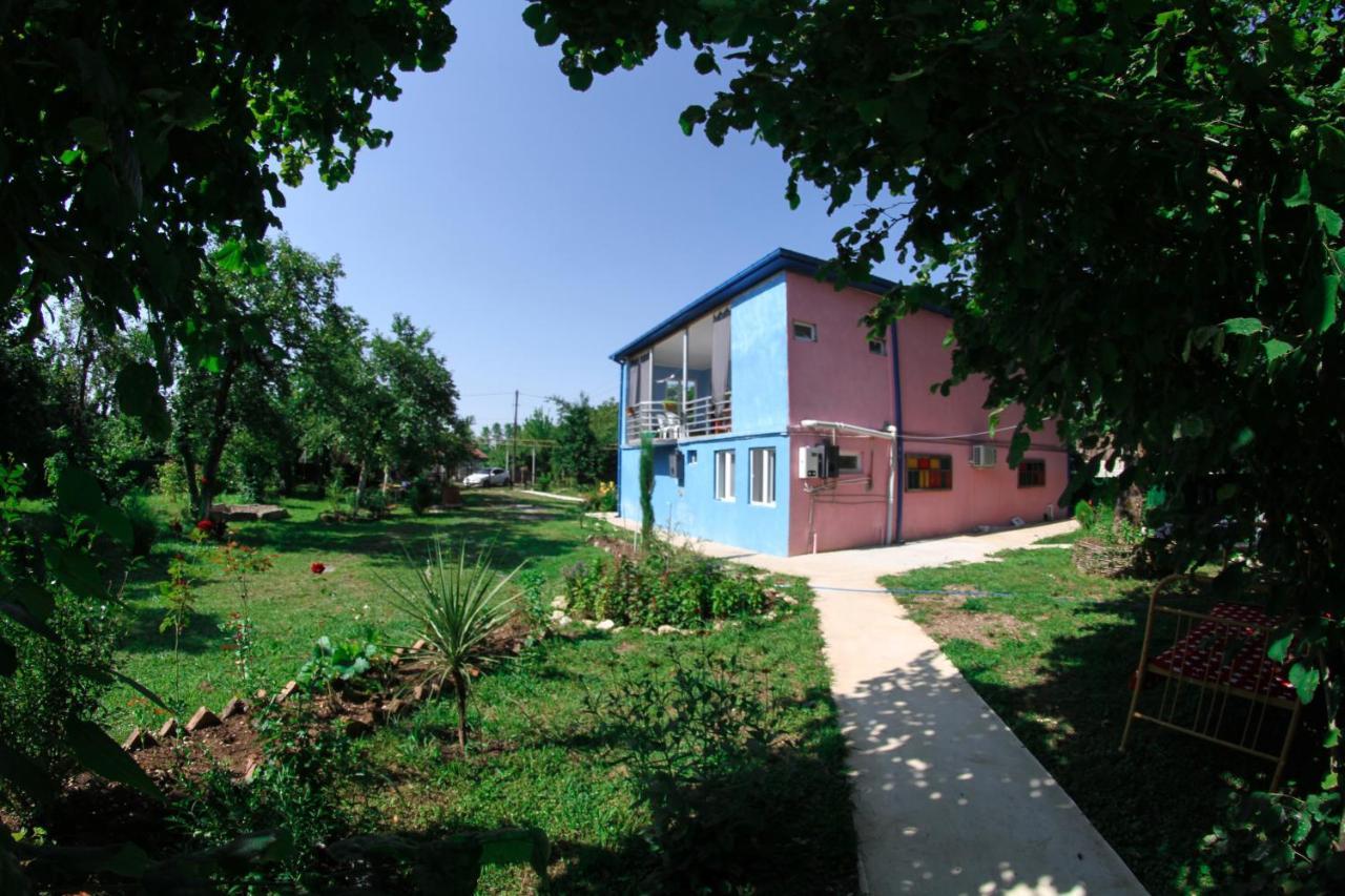 Novel House Apartment Martvili Exterior photo